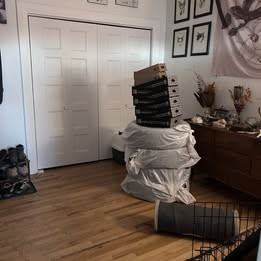 6823 Avenue Christophe Colomb - Photo 3 of 4