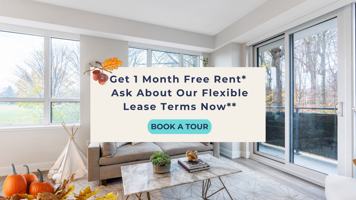 featured image of 41 Johnson St