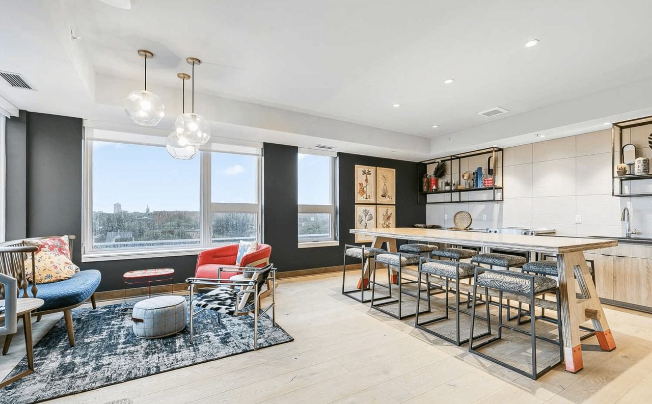 Rex26 - Photo 2 of 21