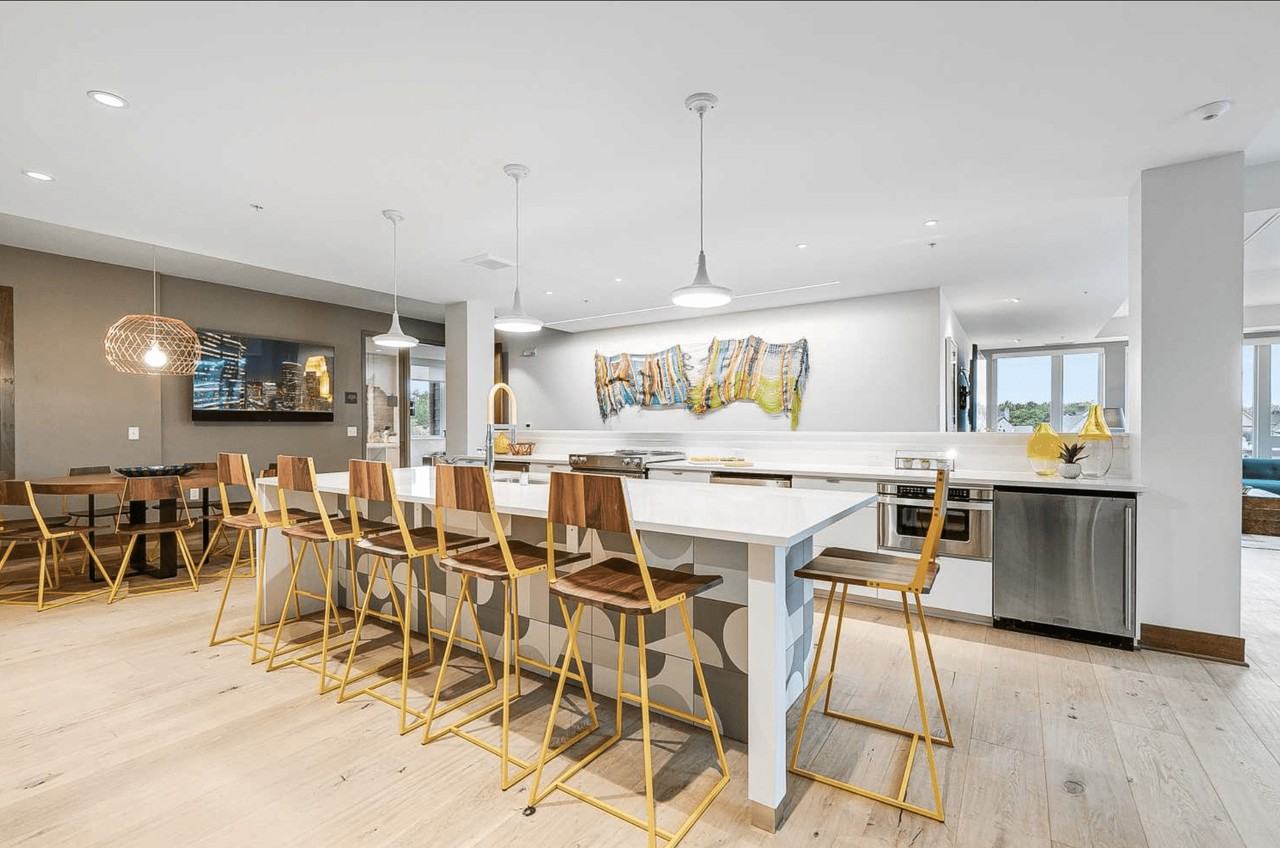 Rex26 - Photo 3 of 21