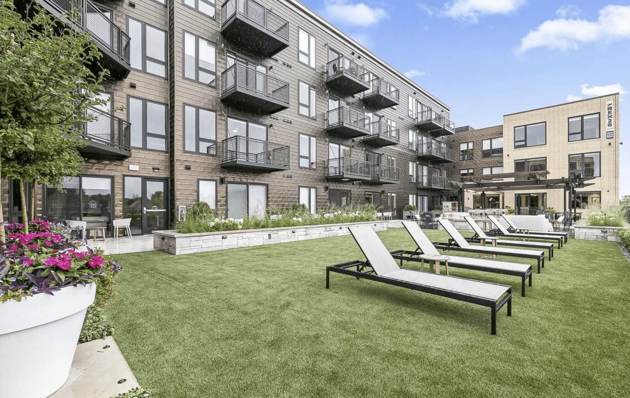 Rex26 - Photo 5 of 21