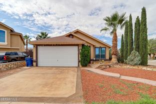 11225 Cactus Rose Pl - Photo 1 of 1