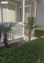 Archibald Ave & Corbin Dr - Photo 1 of 1