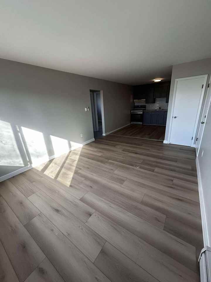 427 High Street #5 - Photo 4 of 11