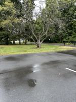 featured image of 779 Neighborhood Road