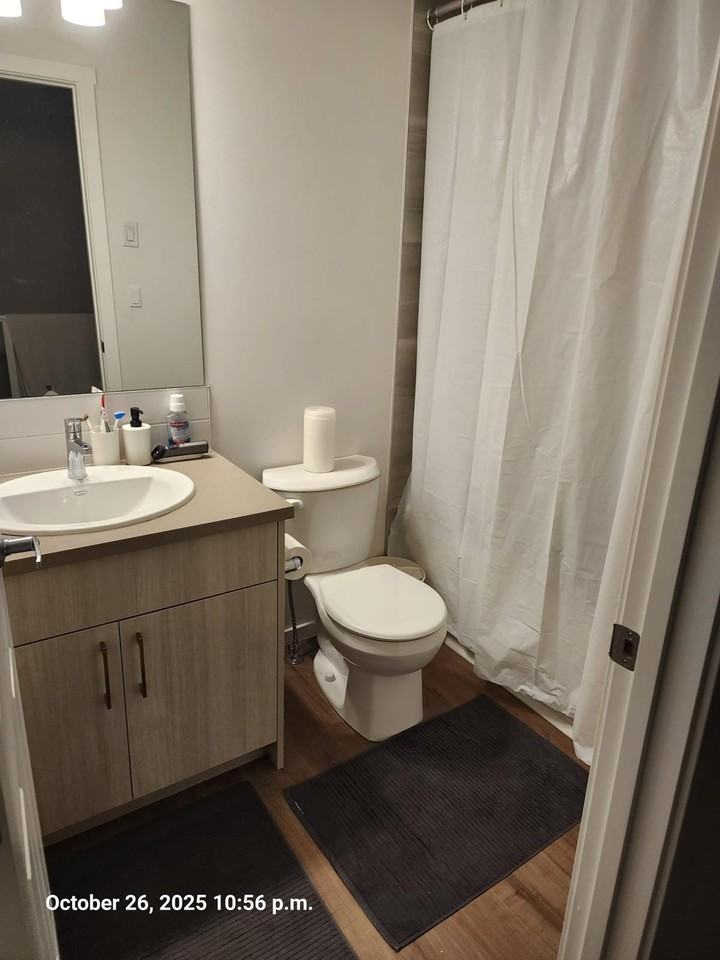 1960 Carrington Boulevard - Photo 4 of 16