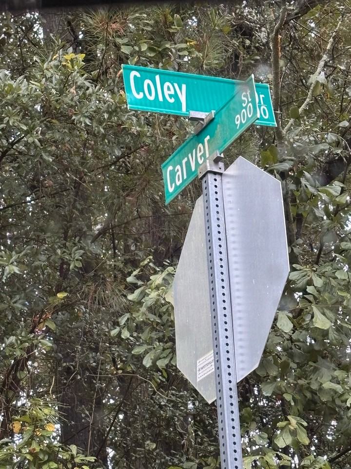 1507 Coley Drive - Photo 3 of 21