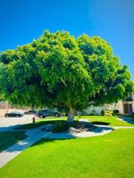 featured image of 1241 5th Ave