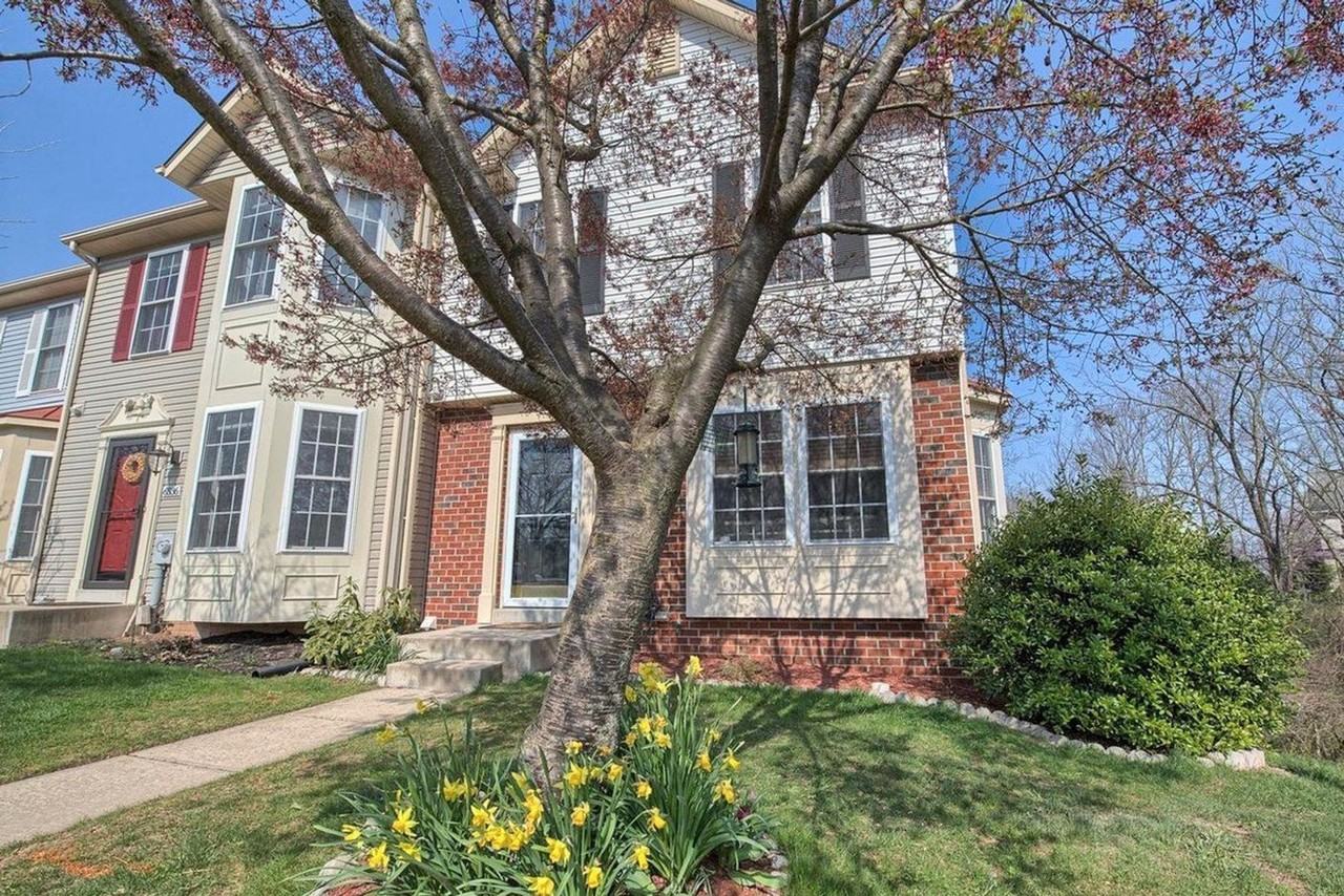 6538 Mercantile Drive - Photo 2 of 23