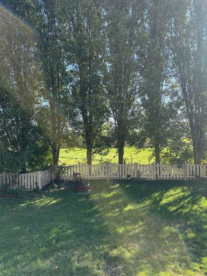 908 Portlock Dr - Photo 4 of 14