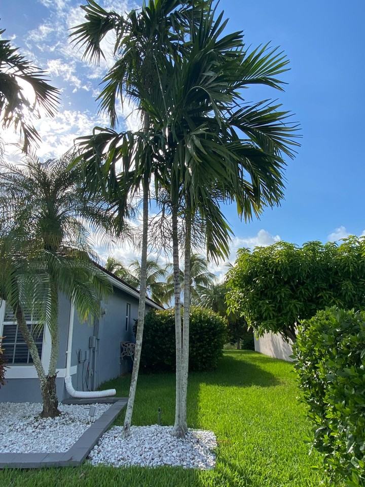 2322 Nw 166th Ave #NA - Photo 3 of 22