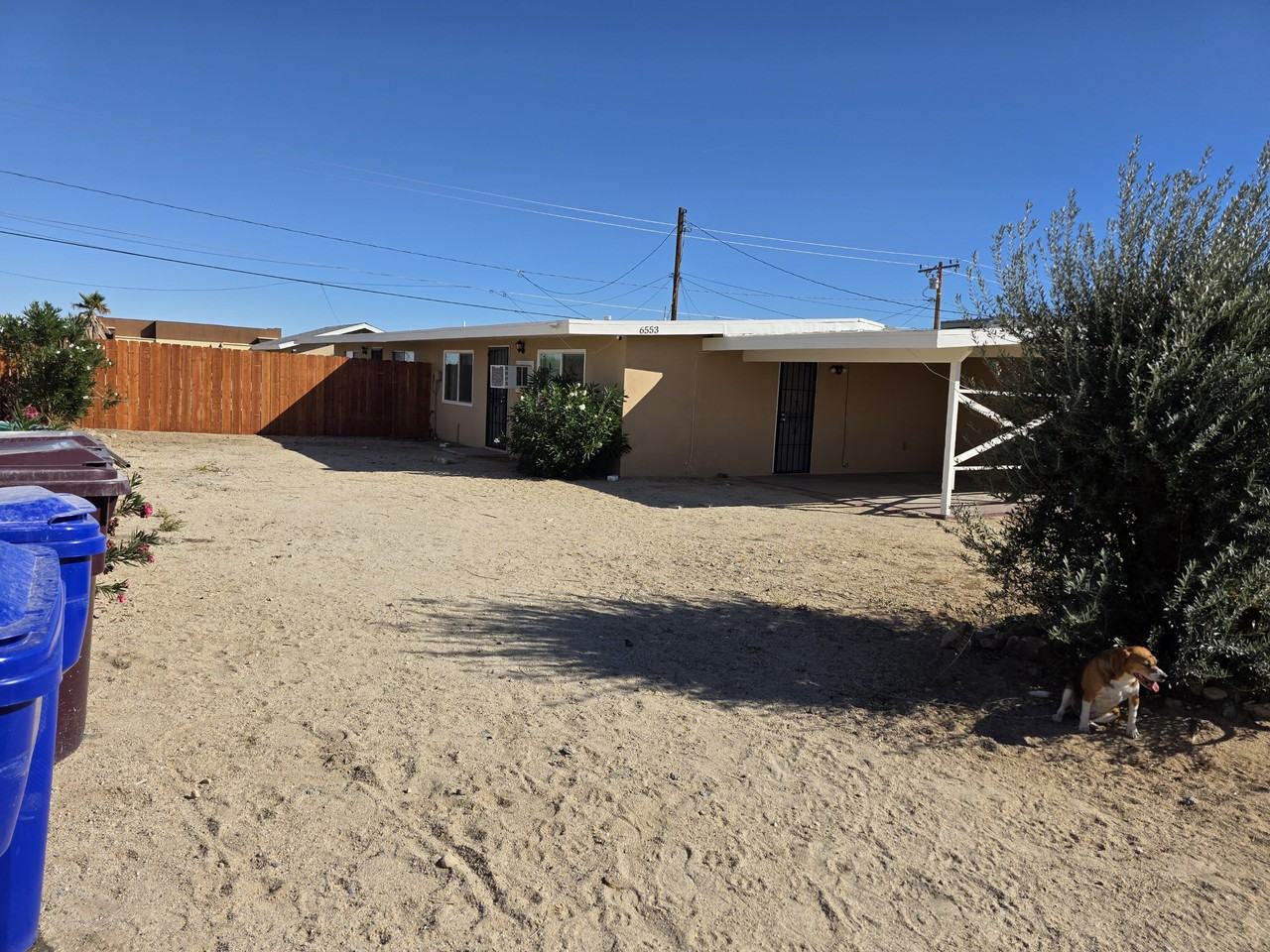 6553 Desert Queen Ave #NA - Photo 2 of 11