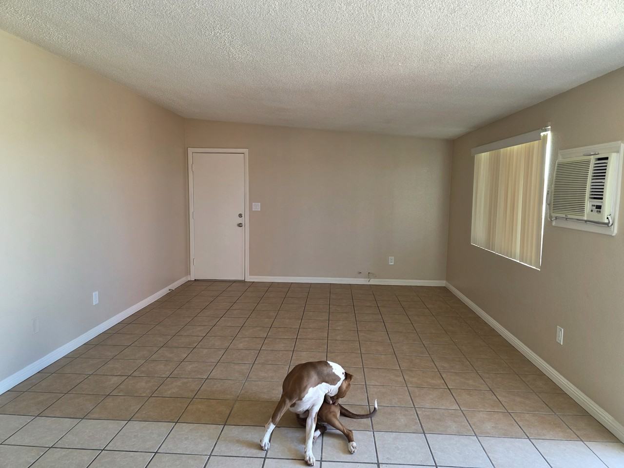 6553 Desert Queen Ave #NA - Photo 4 of 11