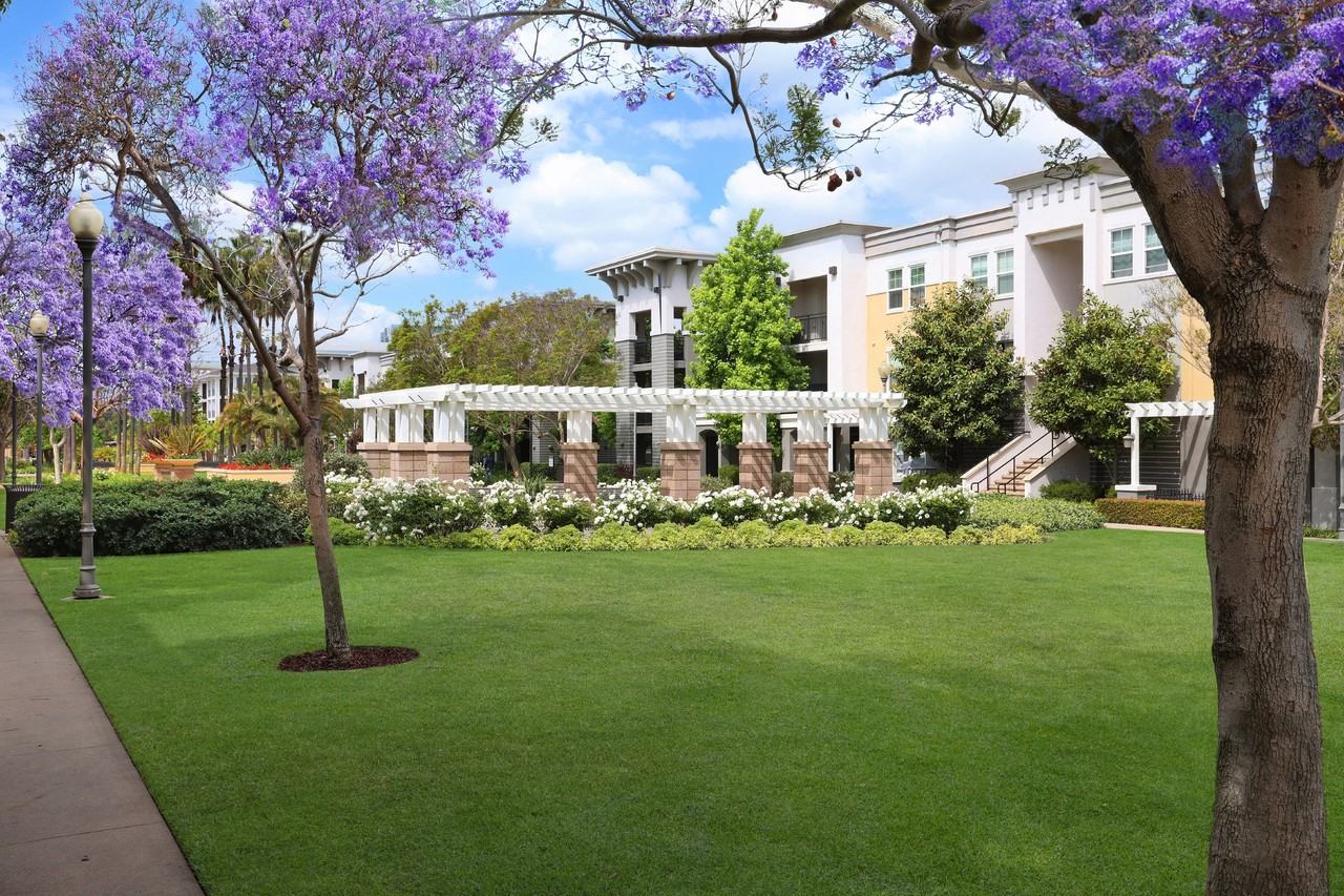 Serenade at RiverPark - Photo 6 of 50