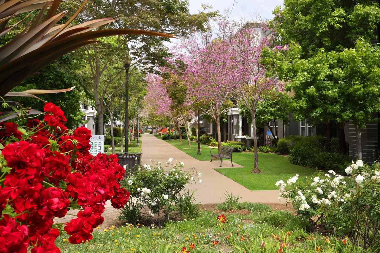 Serenade at RiverPark - Photo 7 of 50