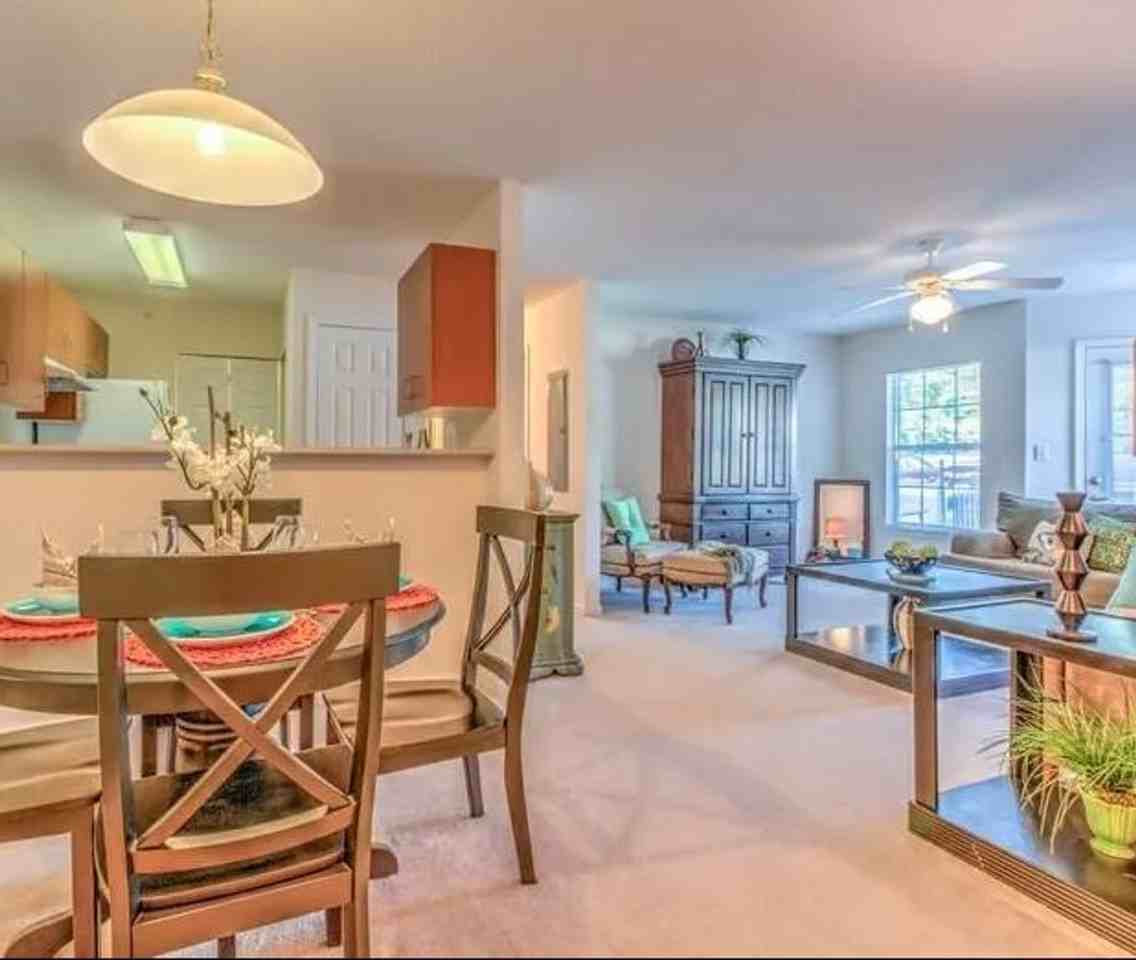 The Shores at Elders Pond - Photo 4 of 43