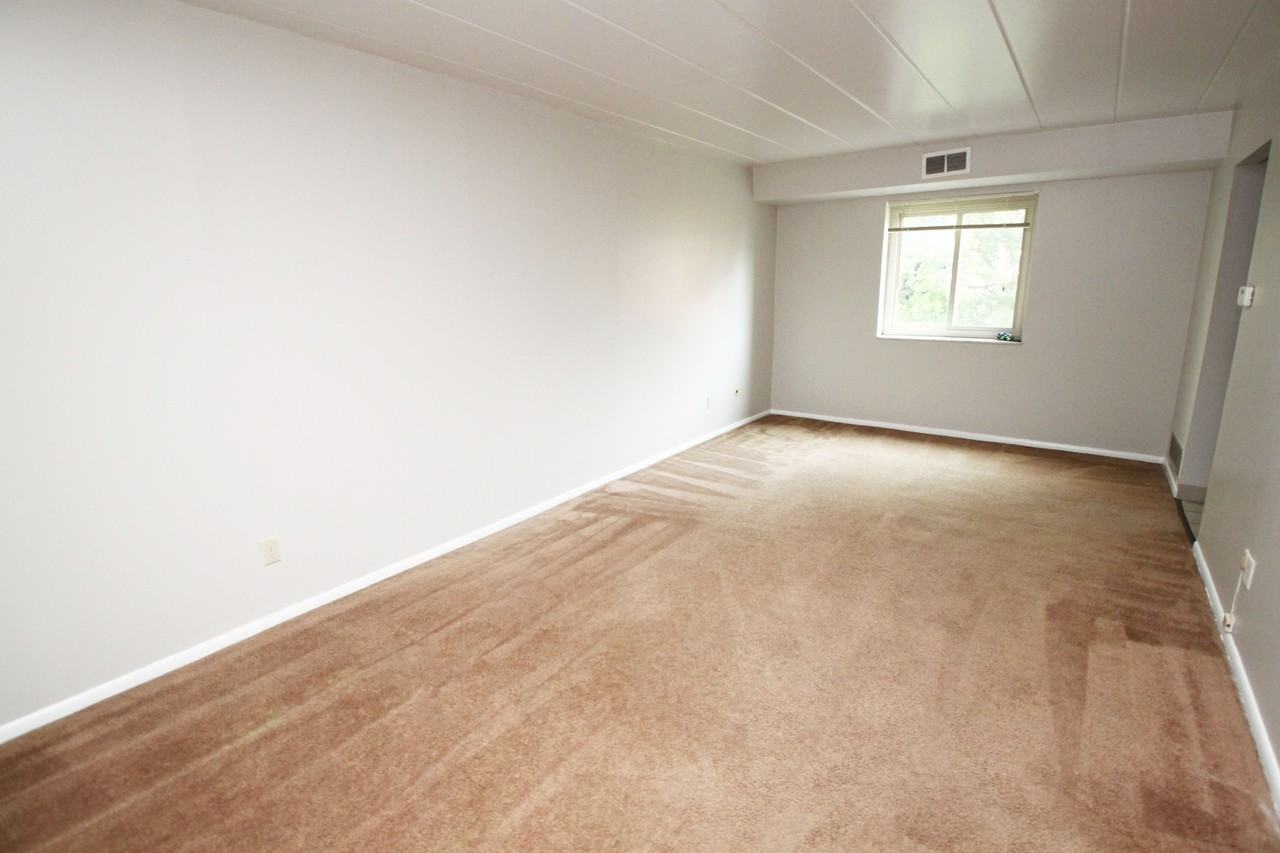 325 N Craig St #502 - Photo 2 of 7