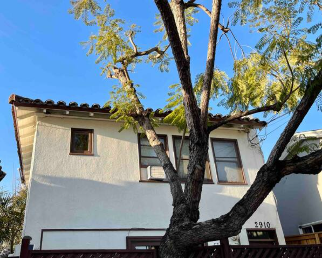 2910 Grape St - Photo 7 of 41