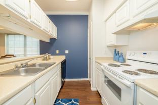 11028 Jollyville Rd #245C - Photo 1 of 1