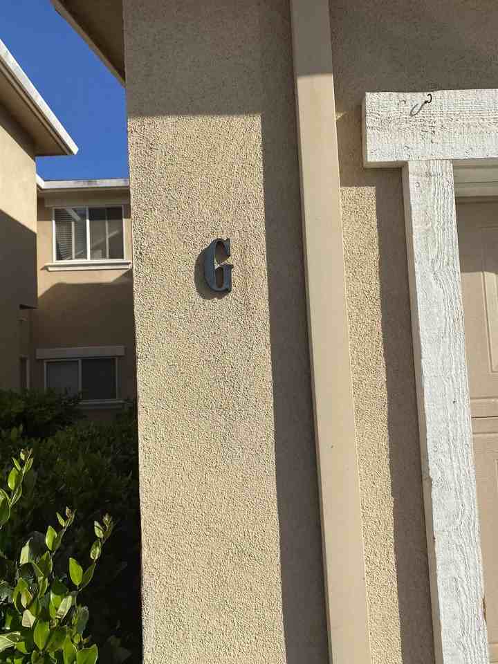 2917 Snyder Ave #G - Photo 5 of 13