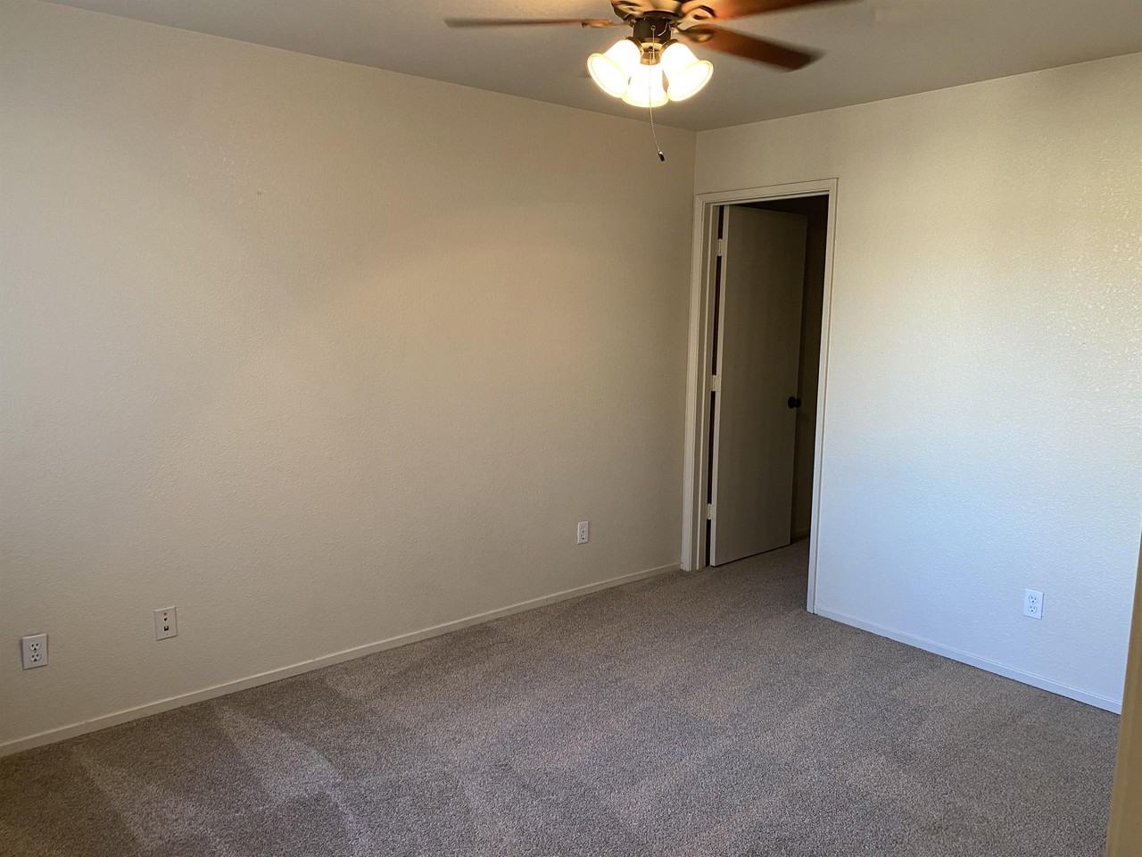 2917 Snyder Avenue #G - Photo 4 of 13