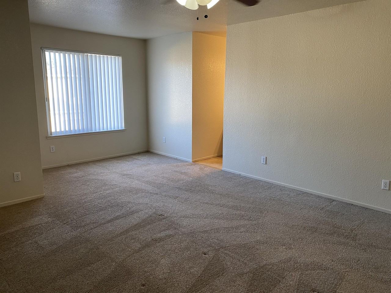 2917 Snyder Avenue #G - Photo 2 of 13