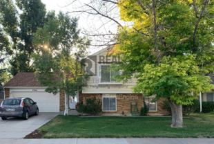 4366 Starflower Dr - Photo 1 of 1