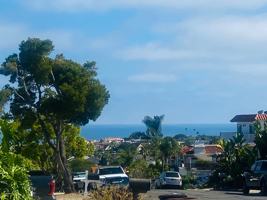 featured image of 33742 Silver Lantern St