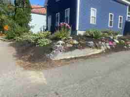 featured image of 8 Burrill St #1