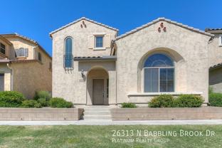 26313 N Babbling Brook Dr - Photo 1 of 1