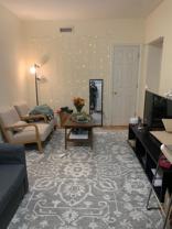 56 Egmont St - Photo 1 of 1