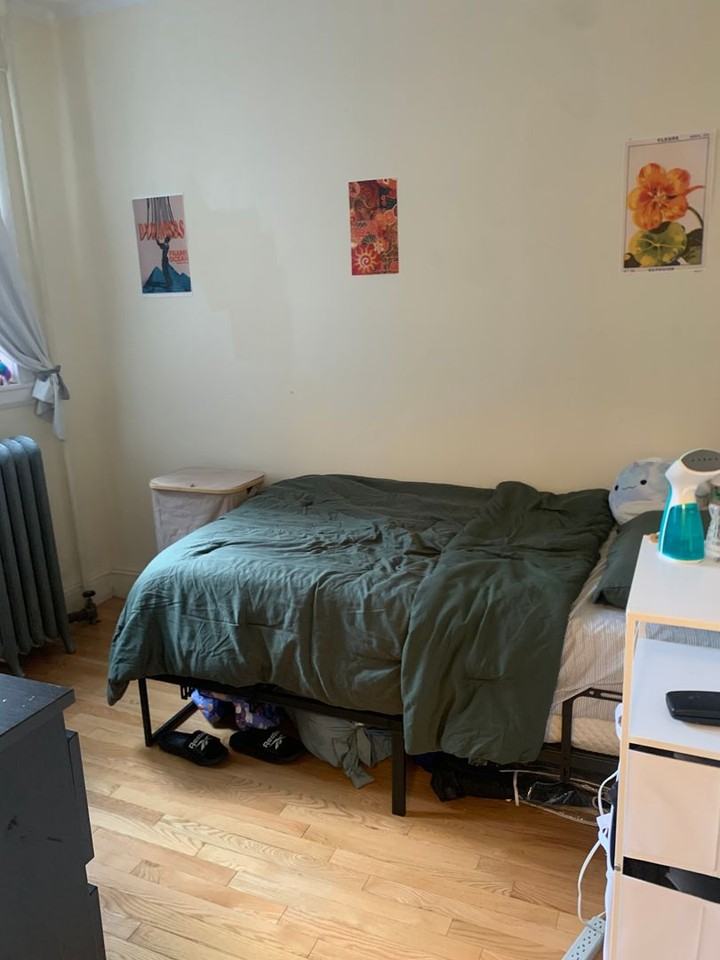 36 Egmont St - Photo 4 of 11