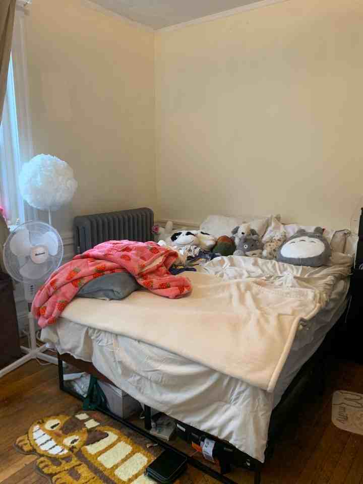 36 Egmont St - Photo 6 of 11