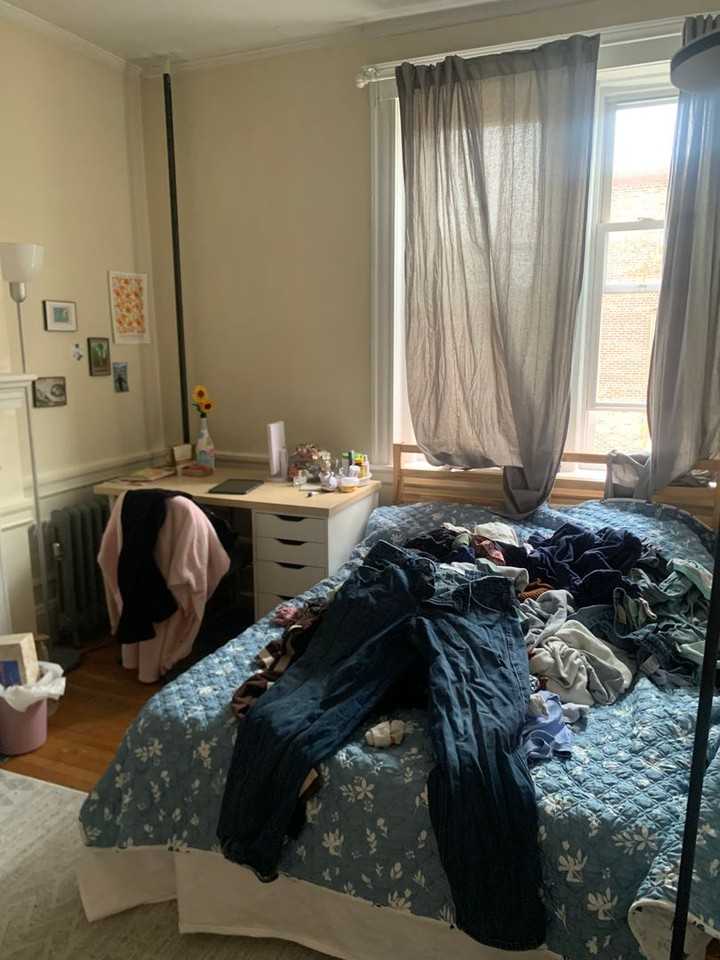 36 Egmont St - Photo 7 of 11