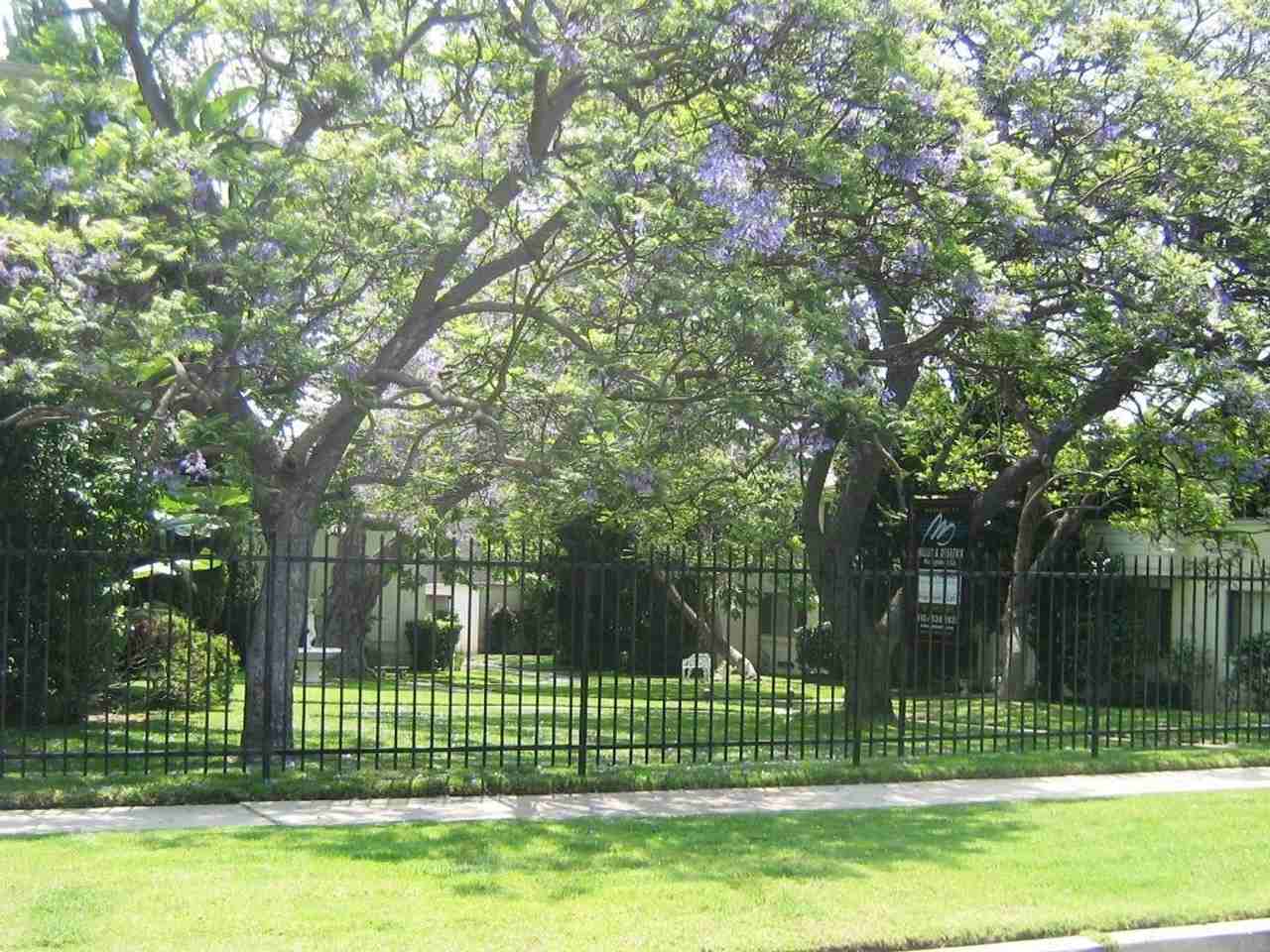 a7400 - Photo 5 of 34