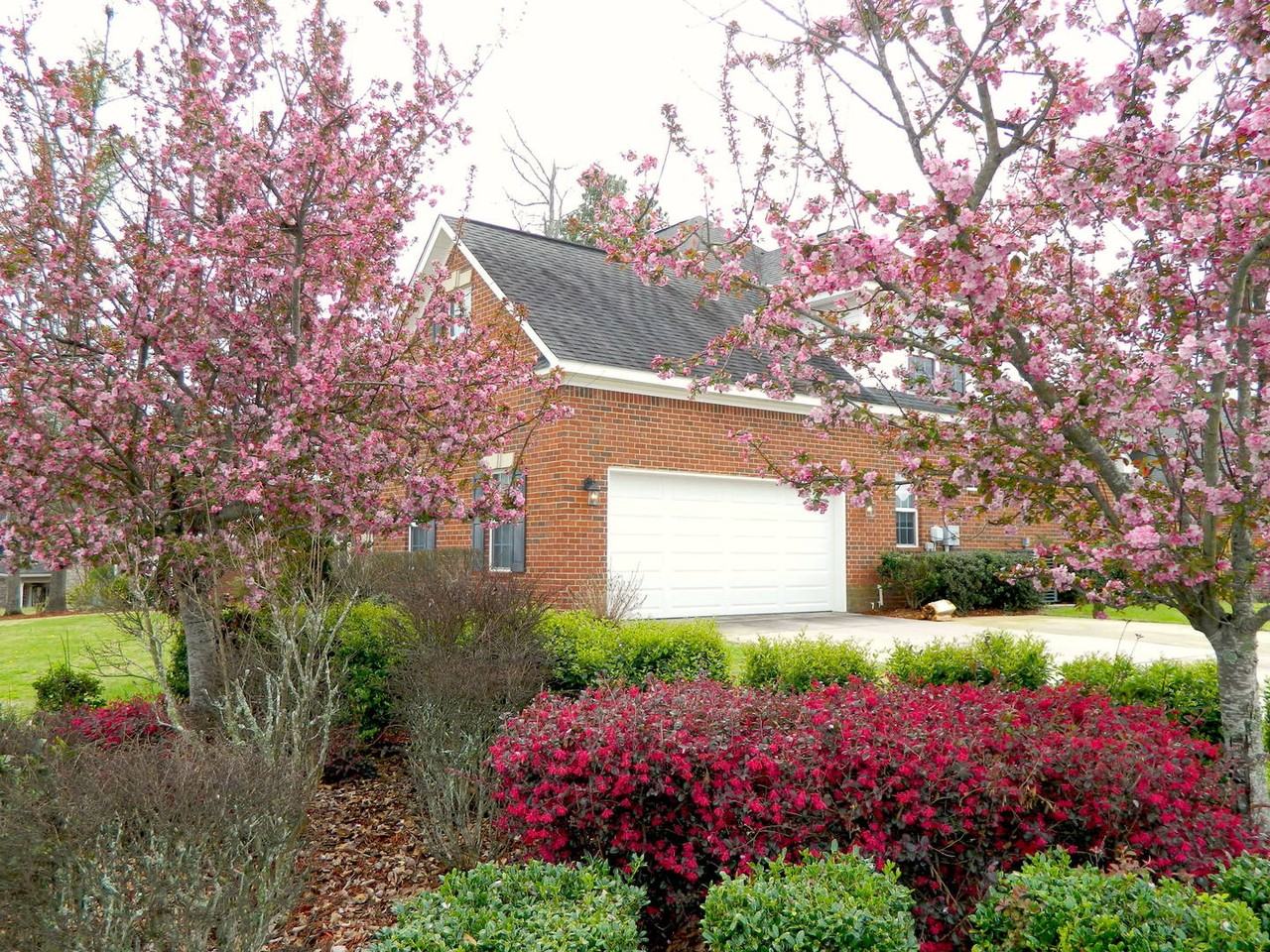 1101 Brighton Dr - Photo 5 of 33