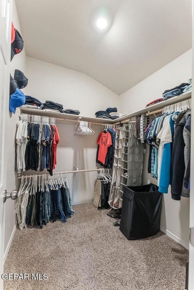 5008 Jennifer Claire Ln - Photo 7 of 13