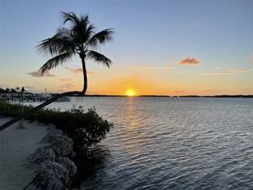 17011 N Bay Rd #406 - Photo 1 of 1