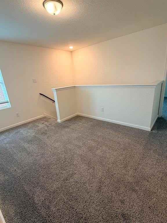 213 Briar Cv - Photo 4 of 12