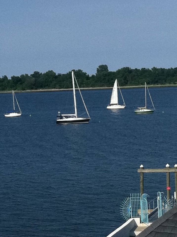 244 Bowne St #1stFL - Photo 4 of 13