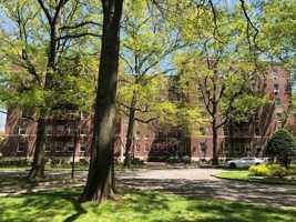 featured image of 1 Larchmont Acres #712B