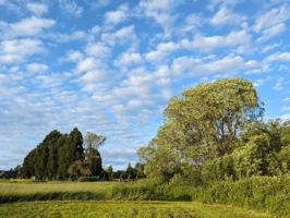 featured image of 19105 Ne 112Th Ave, Battle Ground, Wa 98604, Usa #B