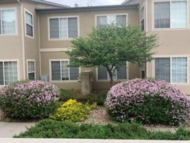 10056 E Carolina Pl #103 - Photo 1 of 1