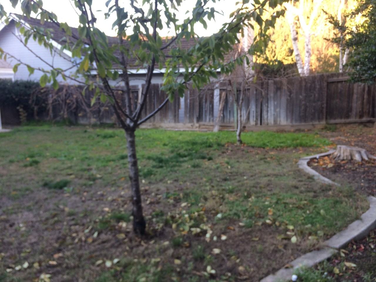 2320 Grouse Crossing Way - Photo 3 of 5