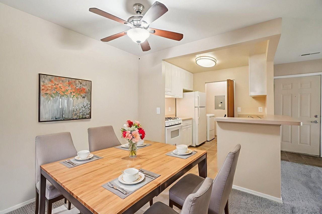 Turtle Cove - Photo 4 of 32