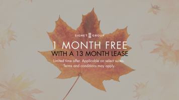 featured image of 99 Woolley St && 82 Elgin St S