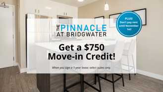 The Pinnacle at Bridgwater - Photo 1 of 1