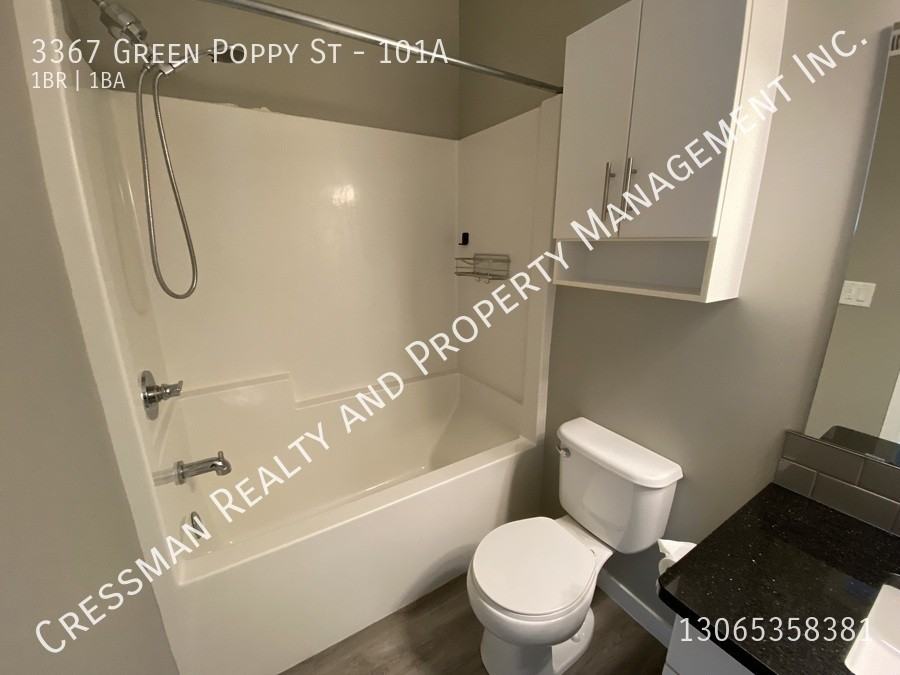 3367 Green Poppy St - Photo 3 of 5