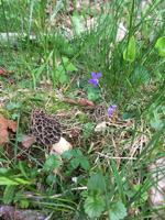 featured image of 56 London Rd #1