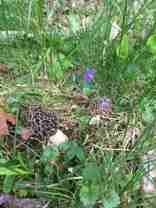 56 London Rd #1 - Photo 1 of 1